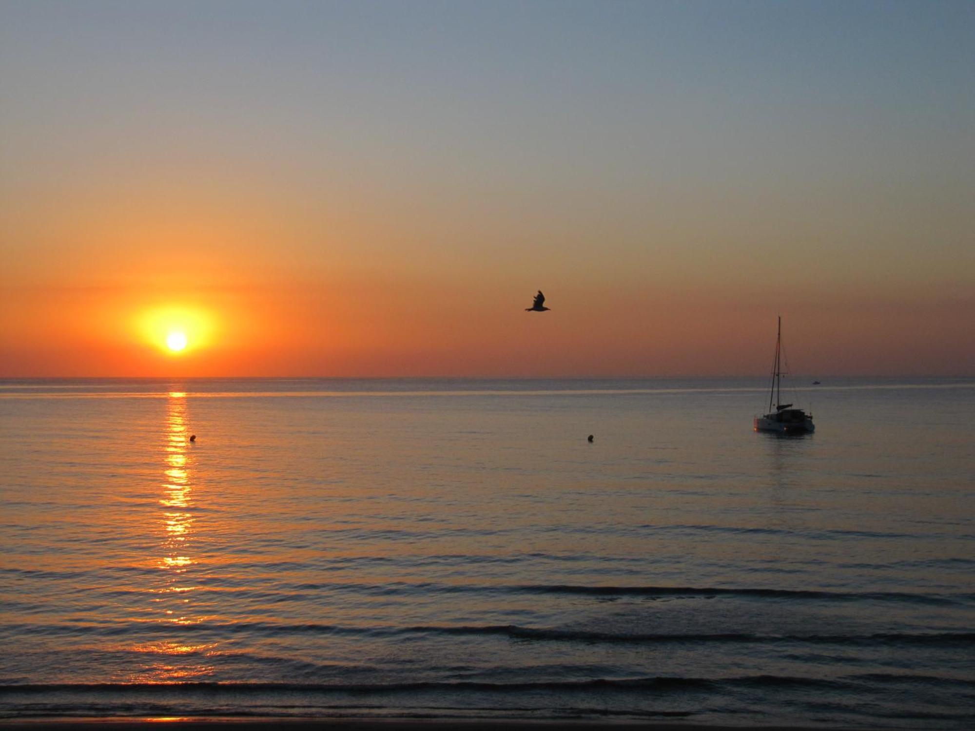 Excepcional Apartamento Loft A Pie De Playa En Chalet Roquetes Alicante Exterior photo
